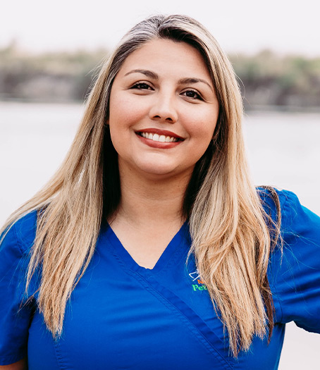 Dezi-Ruedas Dezi-Ruedas