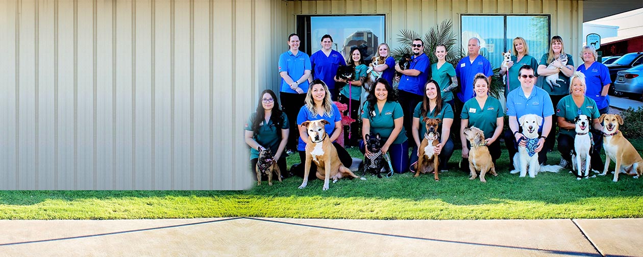 Veterinary Animal Hospital Fort Mohave - About Us