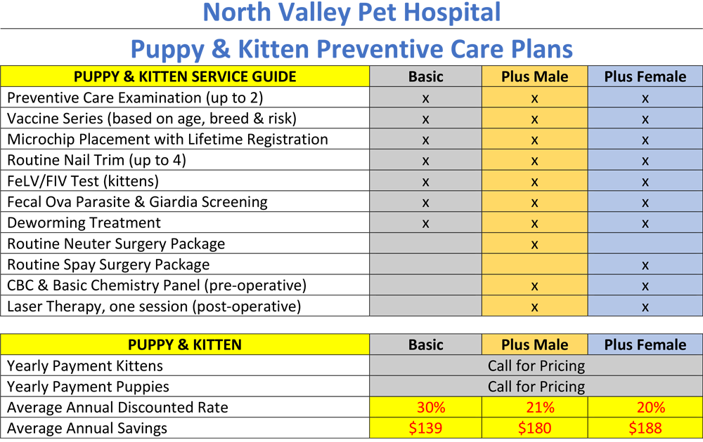 Preventive Care Plan Overview for Puppies and Kittens